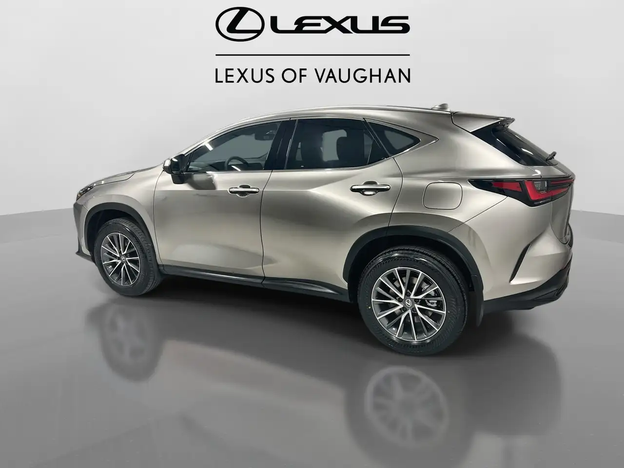 Lexus NX photo Lexus NX