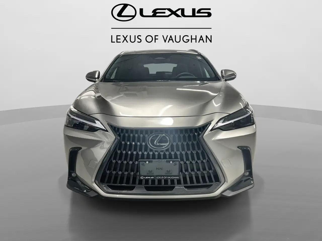 Lexus NX photo Lexus NX