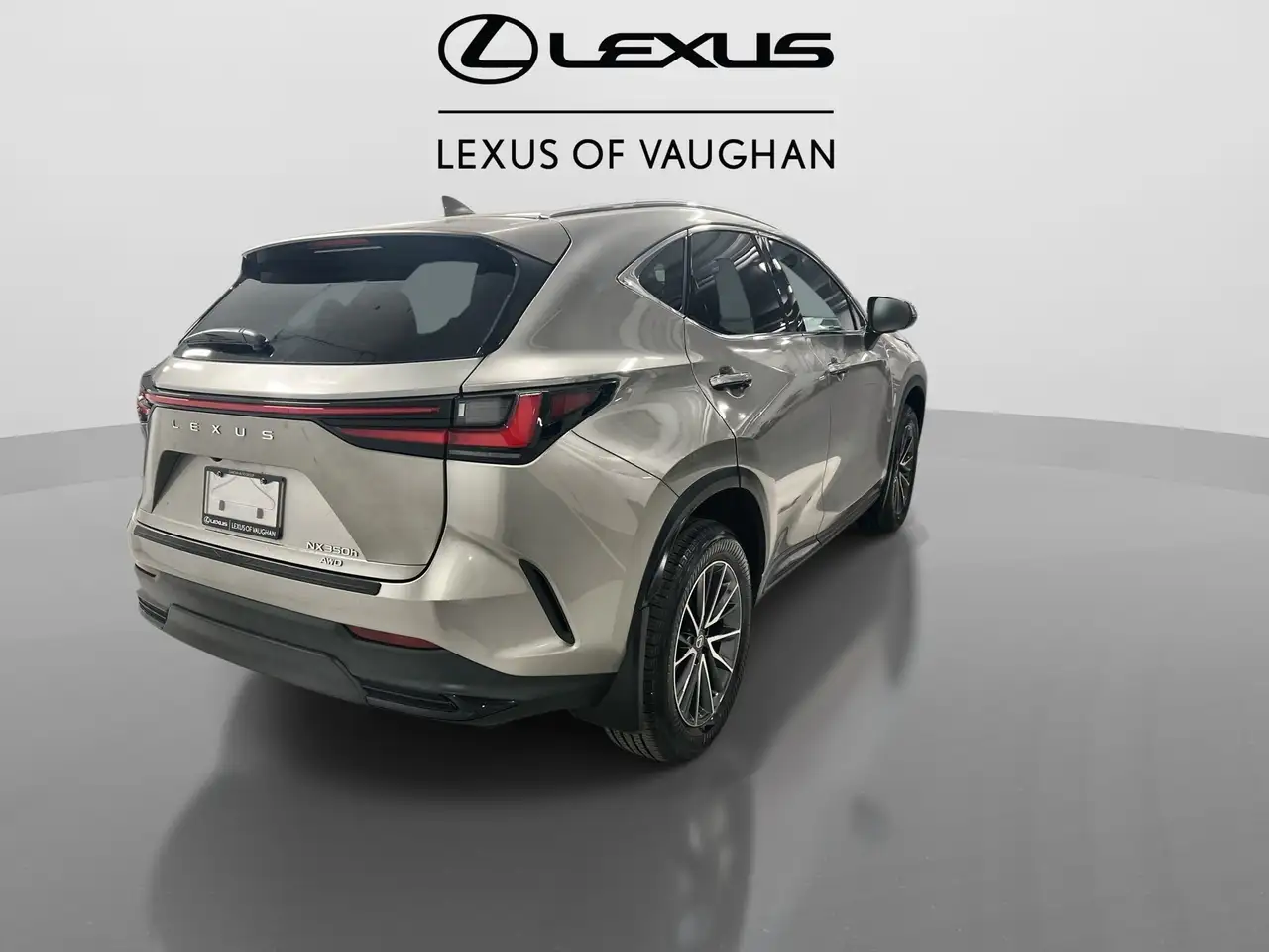 Lexus NX photo Lexus NX