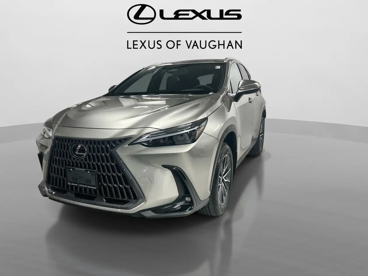 Lexus NX photo Lexus NX