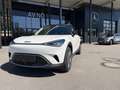 smart #1 (66kWh) Pulse Klima 360 ACC AUT DynLicht LM Weiß - thumbnail 10