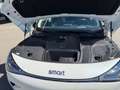 smart #1 (66kWh) Pulse Klima 360 ACC AUT DynLicht LM Weiß - thumbnail 24