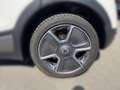 smart #1 (66kWh) Pulse Klima 360 ACC AUT DynLicht LM Weiß - thumbnail 9