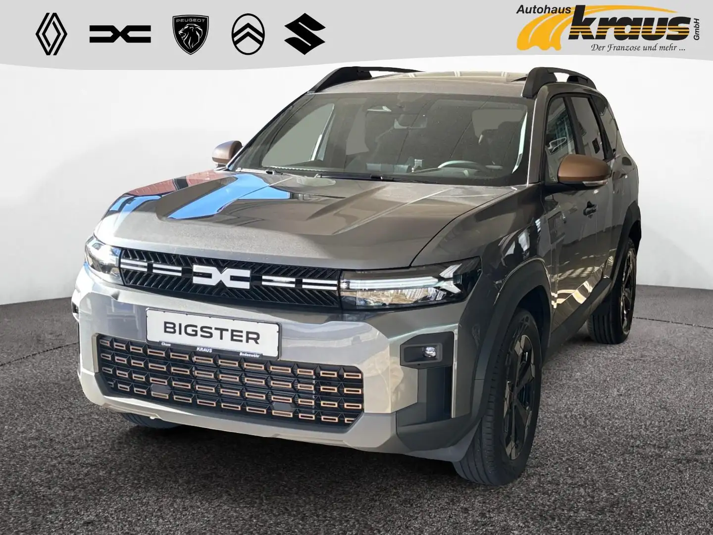 Dacia Extreme Hybrid 155 SHZ WINTERRÄDER GRATIS* Сірий - 1