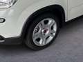 Fiat Panda 1.0 GSE /RADIO/KLIMA/PDC H/DAB 51 kW (69 PS), S... Weiß - thumbnail 6