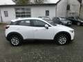 Mazda CX-3 Prime-Line KLIMA 49.TKM PDC 6-GANG Euro6 Blanc - thumbnail 6