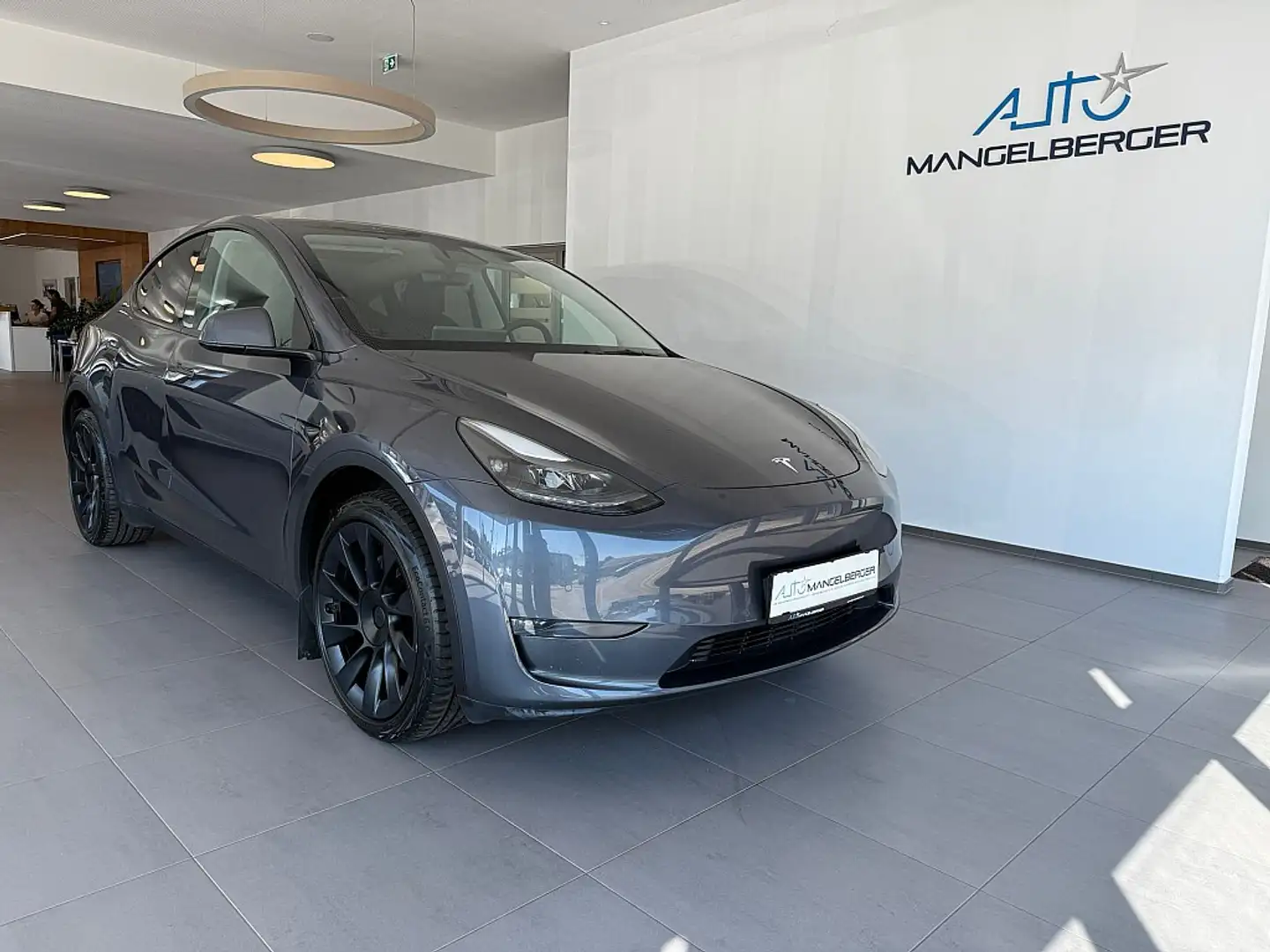 Tesla Model Y Long Range AWD 75kWh Šedá - 1