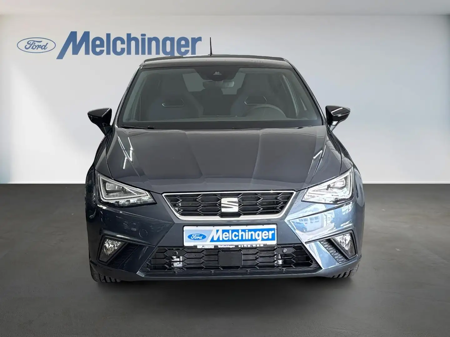 SEAT Ibiza FR Pro Black Edition NAVI/Fahrassistenz-Paket XL/P Grau - 2