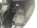 Mercedes-Benz GLB 200 d Progressive Advanced Plus, Multibeam Weiß - thumbnail 14