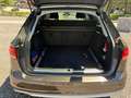 Audi A4 allroad Braun - thumbnail 10