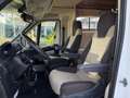 Fiat CAMPER / ROLLER TEAM MAGNIFICO 131PK / EURO5 Wit - thumbnail 11