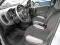 Fiat Panda Panda 1.0 firefly hybrid s Grijs - thumbnail 6