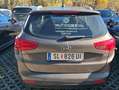 Kia Ceed SW / cee'd SW cee'd SW 1,4 MPI Österreich Edition Braun - thumbnail 2