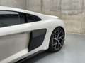 Audi R8 V10 FSI RWD 397kW Wit - thumbnail 4