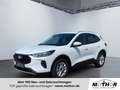 Ford Kuga Titanium 1.5 EcoBoost Fahrspur-Pilot Blanc - thumbnail 1