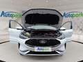 Ford Kuga ST-Line X Plug-In Hybrid ST-Line X Weiß - thumbnail 9