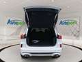 Ford Kuga ST-Line X Plug-In Hybrid ST-Line X Weiß - thumbnail 10