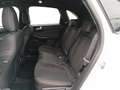 Ford Kuga ST-Line X Plug-In Hybrid ST-Line X Weiß - thumbnail 18