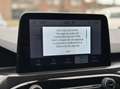 Ford Kuga 2.5 PHEV ST-Line Climat, Navi, Camera, Bluetooth, Wit - thumbnail 16