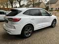 Ford Kuga 2.5 PHEV ST-Line Climat, Navi, Camera, Bluetooth, Wit - thumbnail 4