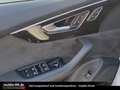 Audi SQ7 4.0*MATRIX*PANO*LUFT*7SITZER*S-LINE* Weiß - thumbnail 11