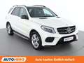 Mercedes-Benz GLE 500 GLE 500e 4Matic AMG Line Weiß - thumbnail 8