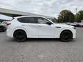 Mazda CX-60 PHEV Homura | 360° Kamera | Panoramadach | Navi Blanc - thumbnail 4