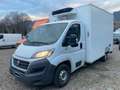 Fiat Ducato 2.3 Multijet2 150cv - CASSA FRIGO CARRIER Weiß - thumbnail 1