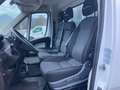 Fiat Ducato 2.3 Multijet2 150cv - CASSA FRIGO CARRIER Weiß - thumbnail 5