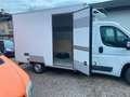 Fiat Ducato 2.3 Multijet2 150cv - CASSA FRIGO CARRIER Weiß - thumbnail 7