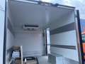 Fiat Ducato 2.3 Multijet2 150cv - CASSA FRIGO CARRIER Weiß - thumbnail 9
