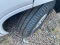 Fiat Ducato 2.3 Multijet2 150cv - CASSA FRIGO CARRIER Weiß - thumbnail 13
