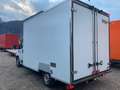 Fiat Ducato 2.3 Multijet2 150cv - CASSA FRIGO CARRIER Weiß - thumbnail 4