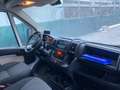 Fiat Ducato 2.3 Multijet2 150cv - CASSA FRIGO CARRIER Weiß - thumbnail 15