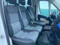 Fiat Ducato 2.3 Multijet2 150cv - CASSA FRIGO CARRIER Weiß - thumbnail 6