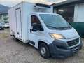 Fiat Ducato 2.3 Multijet2 150cv - CASSA FRIGO CARRIER Weiß - thumbnail 2
