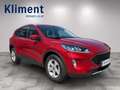 Ford Kuga 1,5 EcoBoost Cool & Connect Rot - thumbnail 4