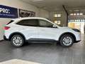 Ford Kuga PHEV Titanium 2.5 Automatik/NAVI/KAMERA/SHZ Blanco - thumbnail 11
