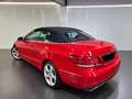 Mercedes-Benz E 220 Cabrio 220d 9G-Tronic Rojo - thumbnail 6