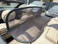 Mercedes-Benz CLK 500 Cabrio Avantgarde AMG PAKET HarmanKardon Schwarz - thumbnail 24