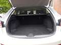 Mazda 6 2.2 Sports-Line Autom.,Tempom.,Navi, Sitzh. Gris - thumbnail 19