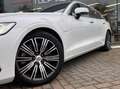 Volvo V60 2.0 T6 Recharge AWD Inscription AUT Pano LED Leder Wit - thumbnail 12