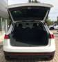 Volkswagen Touareg 3.0 V6 TDI SCR Bianco - thumbnail 19