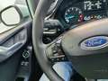 Ford Fiesta 1.1 Ti-VCT Trend Verde - thumbnail 12