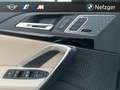 BMW X1 sDrive sDrive20i xLine RFK AHK LED HiFi Grün - thumbnail 19