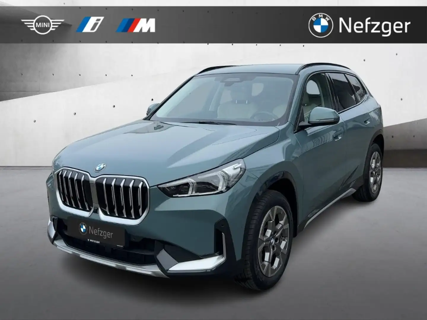 BMW X1 sDrive sDrive20i xLine RFK AHK LED HiFi Grün - 1