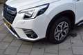 Subaru Forester 2.0i e-BOXER VAN CVT Luxury Ex BTW Wit - thumbnail 2