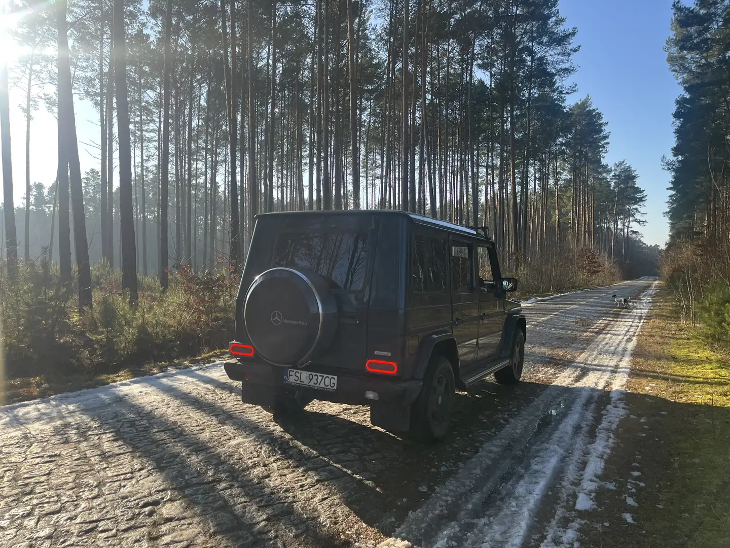 Mercedes-Benz G 320 G 320 Azul - 2