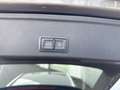 Audi A4 Avant 35 TDI S tronic advanced Navi Digitales Cock Grau - thumbnail 20