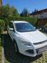Ford Kuga Kuga 2,0 TDCi Trend Trend Weiß - thumbnail 1